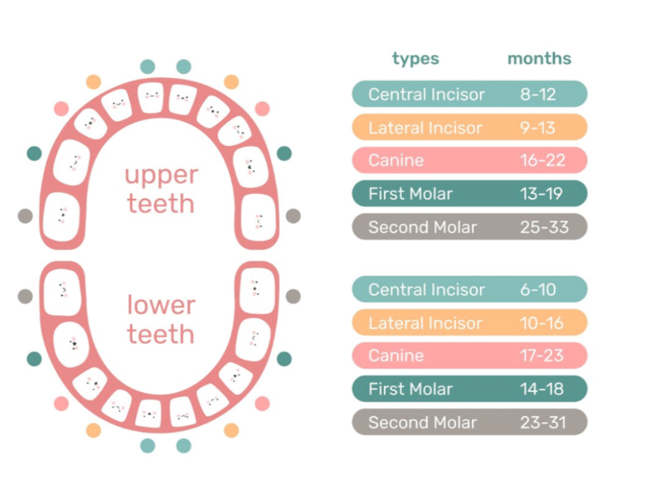 Baby oral health