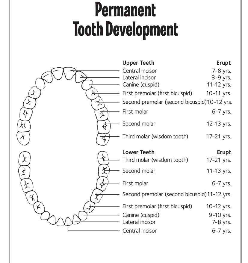 Oralhealth.info logo